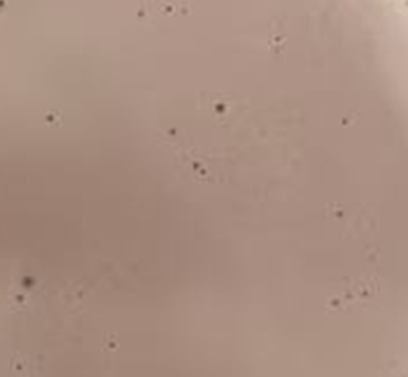 液體膠片隔離劑（低泡）JP-60